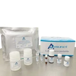 KIT Elisa de detección de anticuerpos SARS CoV-2