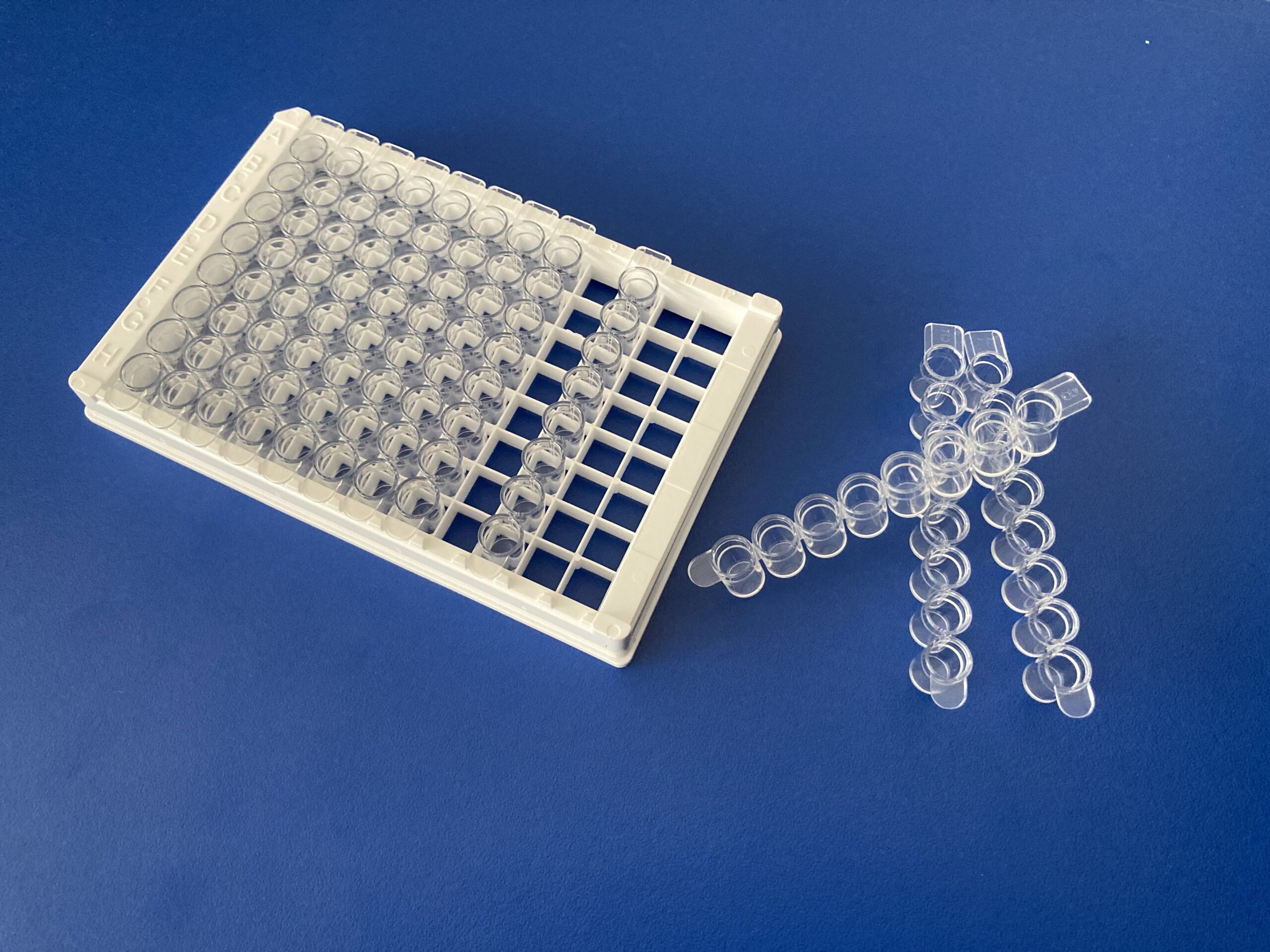 placa elisa